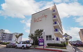 Flamingo Motel